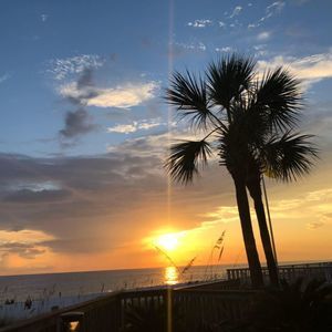 Meet your Posher, Elsa lilia